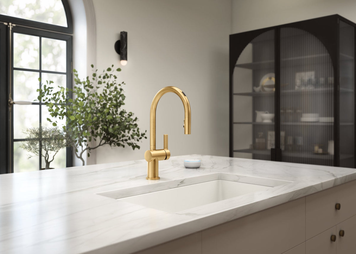 Cia MotionSense Kitchen Faucet