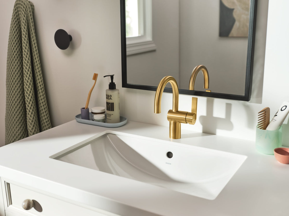 Moen Cia faucet and bathroom sink