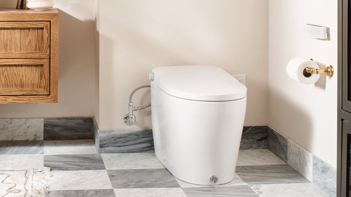 Moen Electronic Toilet