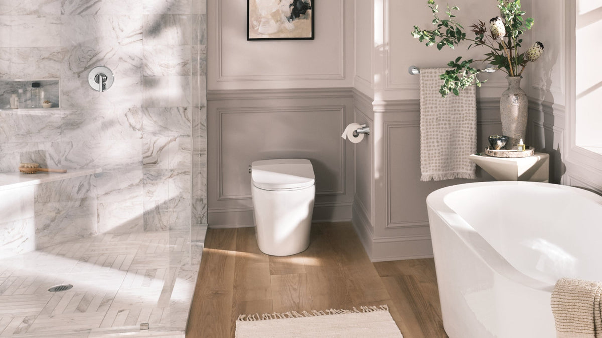 Moen Electronic Toilet